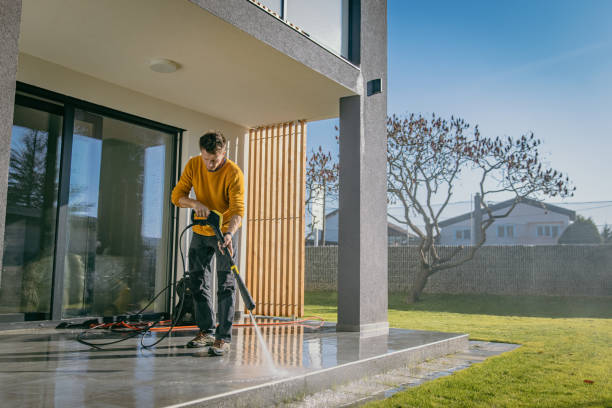 Best Pre-Holiday Cleaning  in Geva, NE